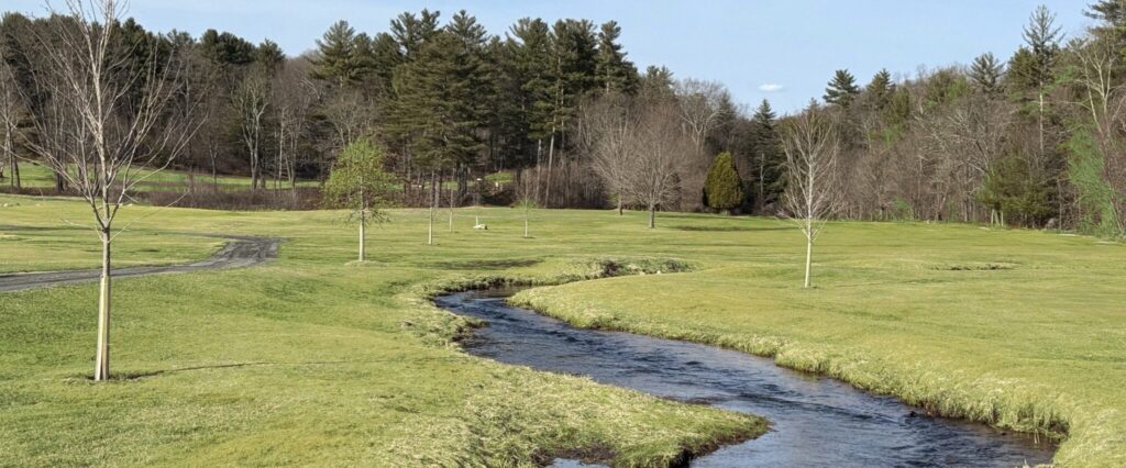 A stream running through a manicured golf course that is surrounded by forest.