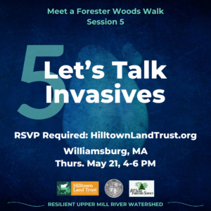 "Let's Talk Invasives" event square, with the text "Meet a Forester Woods Walk Session 5, RSVP Required: HilltownLandTrust.org. Williamsburg, MA Thurs. May 21st, 4-6 pm." Below are the logos for Hilltown Land Trust, the town of Williamsburg, and Bay State Forestry, followed by the text "Resilient Upper Mill Watershed."